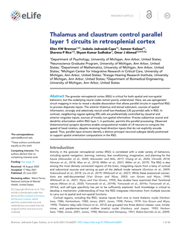 Thalamus and Claustrum Control Parallel Layer 1 Circuits In