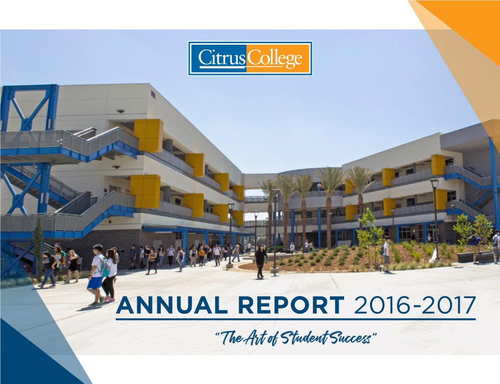 2016-2017 Annual Report