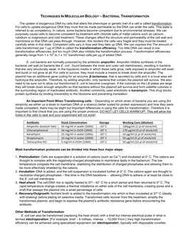 Bacterial Transformation
