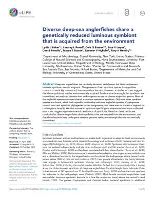 Diverse Deep-Sea Anglerfishes Share a Genetically Reduced Luminous