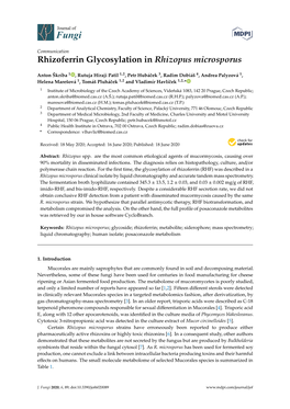 Rhizoferrin Glycosylation in Rhizopus Microsporus