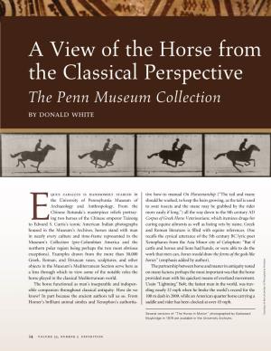 A View of the Horse from the Classical Perspective the Penn Museum Collection by Donald White