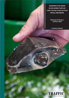 Assessing the Trade in Pig-Nosed Turtles Carettochelys Insculpta in Papua, Indonesia