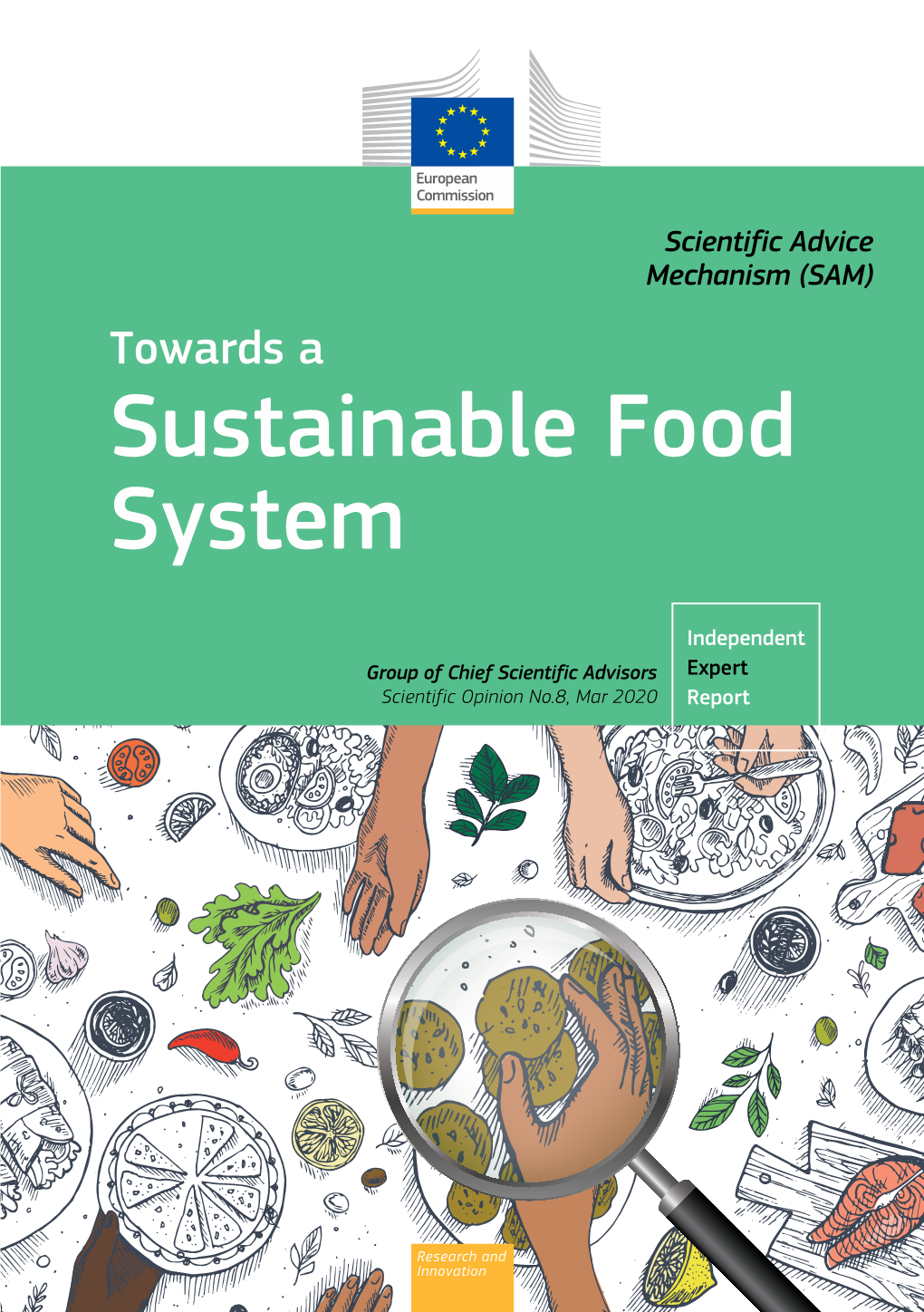 Towards a Sustainable Food System