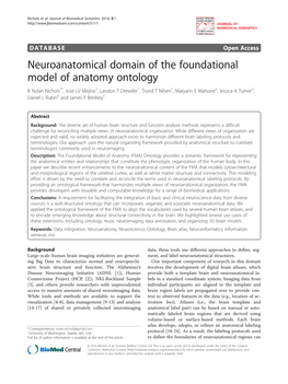 Neuroanatomical Domain of the Foundational Model of Anatomy