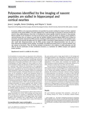 Polysomes Identified by Live Imaging of Nascent Peptides Are Stalled in Hippocampal and Cortical Neurites