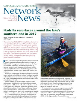 Hydrilla Resurfaces Around Lake's Southern End in 2019, Cayuga
