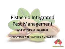 Pistachio Integrated Pest Management and Why It’S So Important
