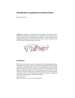 Introduction to Quantum Invariants of Knots