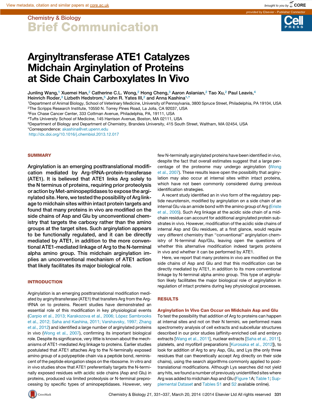 Arginyltransferase ATE1 Catalyzes Midchain Arginylation of Proteins at Side Chain Carboxylates in Vivo