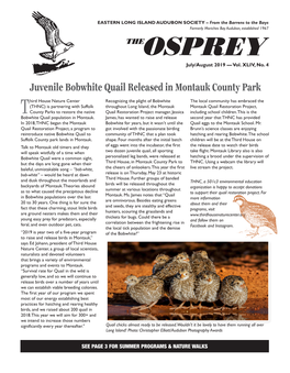 Juvenile Bobwhite Quail Released in Montauk County Park