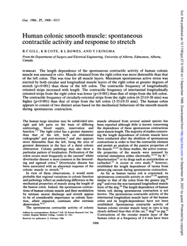 Human Colonic Smooth Muscle: Spontaneous Contractile Activity and Response to Stretch