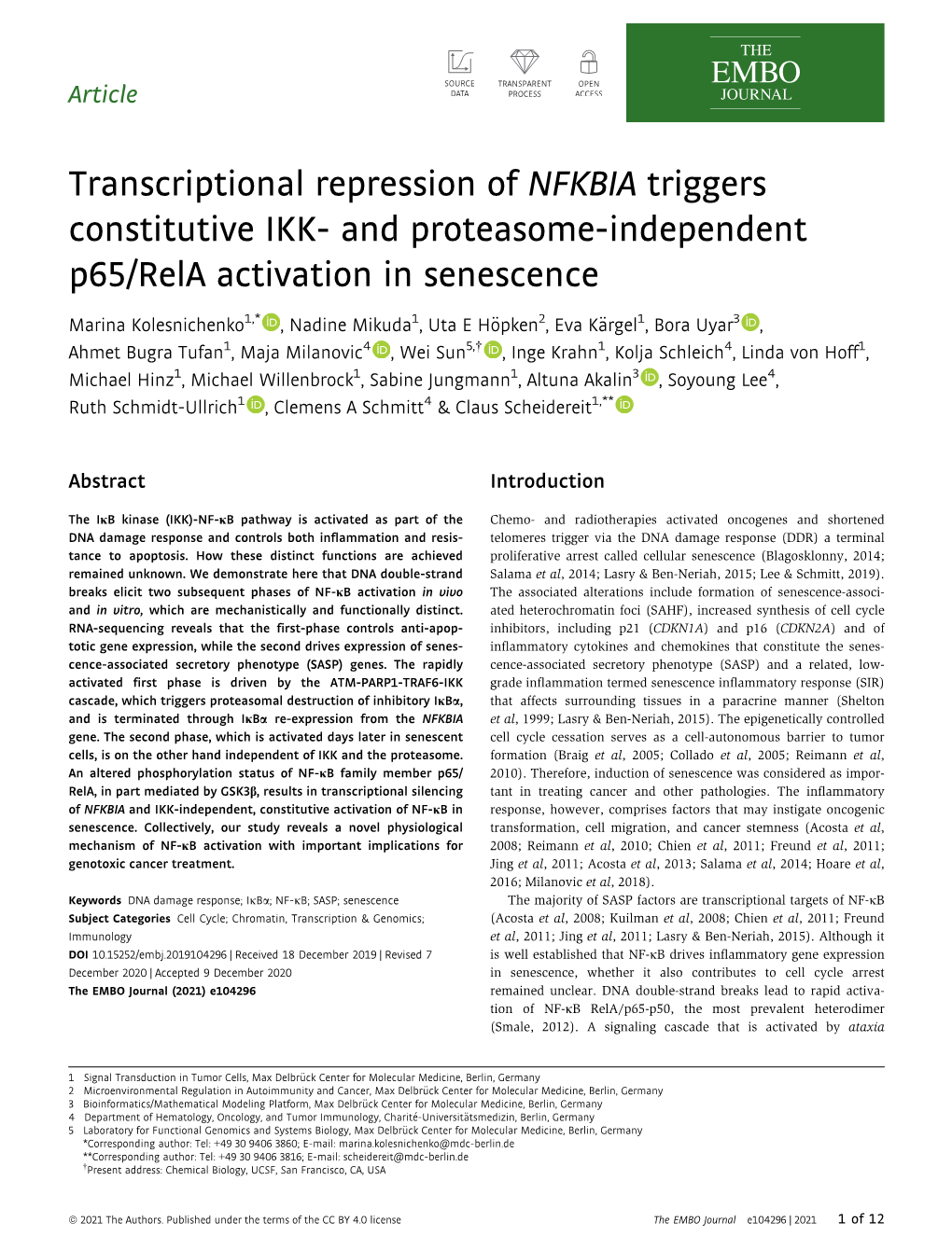 Transcriptional Repression of NFKBIA Triggers Constitutive IKK&#X02010