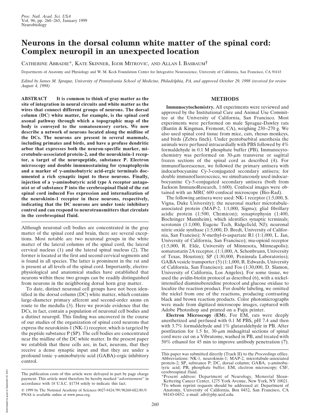 Neurons in the Dorsal Column White Matter of the Spinal Cord: Complex Neuropil in an Unexpected Location