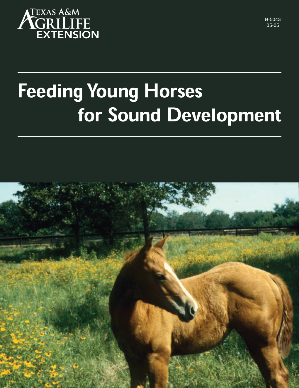 Feeding Young Horses for Sound Development