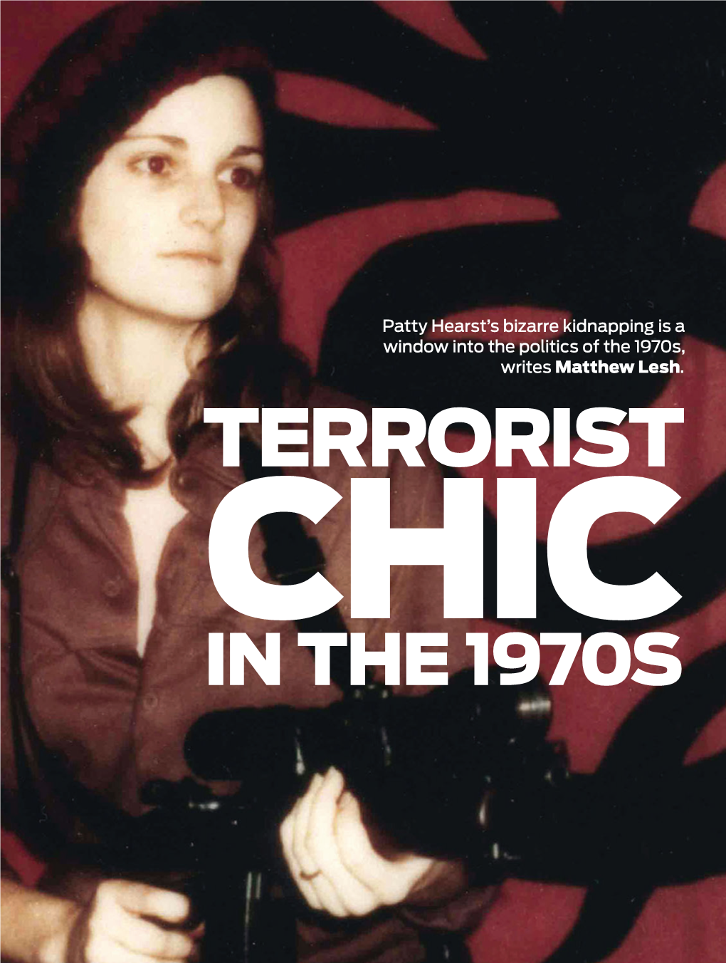 Terrorist Chic in the 1970S