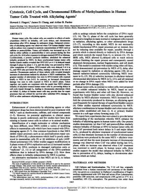 Cytotoxic, Cell Cycle, and Chromosomal Effects of Methylxanthines in Human Tumor Cells Treated with Alkylating Agents1