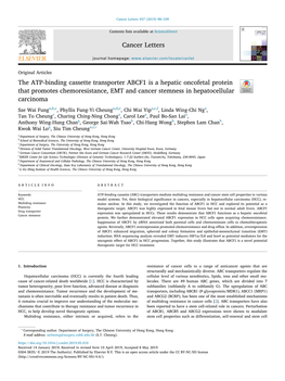 The ATP-Binding Cassette Transporter ABCF1 Is a Hepatic Oncofetal