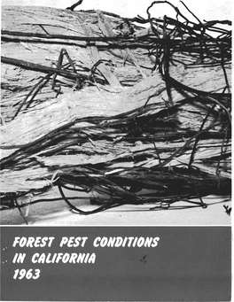 Forest Pest Conditions in California, 1963
