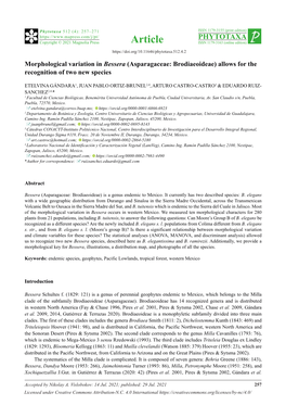 Morphological Variation in Bessera (Asparagaceae: Brodiaeoideae) Allows for the Recognition of Two New Species