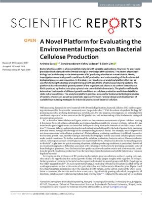 A Novel Platform for Evaluating the Environmental Impacts on Bacterial