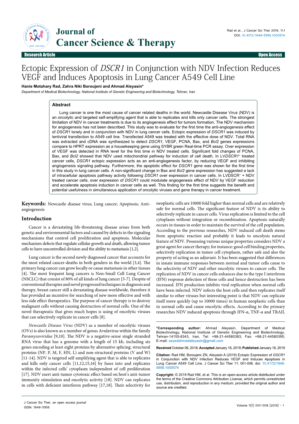 Ectopic Expression of DSCR1 in Conjunction with NDV Infection Reduces VEGF and Induces Apoptosis in Lung Cancer A549 Cell Line