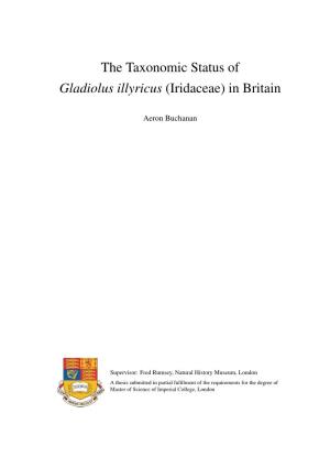 The Taxonomic Status of Gladiolus Illyricus (Iridaceae) in Britain