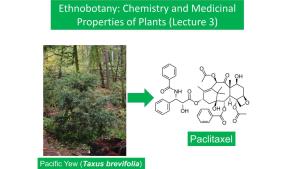 Ethnobotany: Chemistry and Medicinal Properties of Plants (Lecture 3)