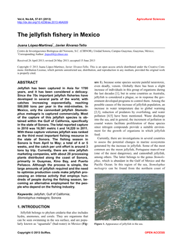 The Jellyfish Fishery in Mexico