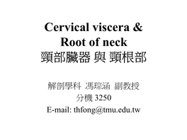 Cervical Viscera and Root of Neck