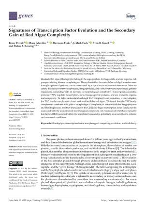 Signatures of Transcription Factor Evolution and the Secondary Gain of Red Algae Complexity