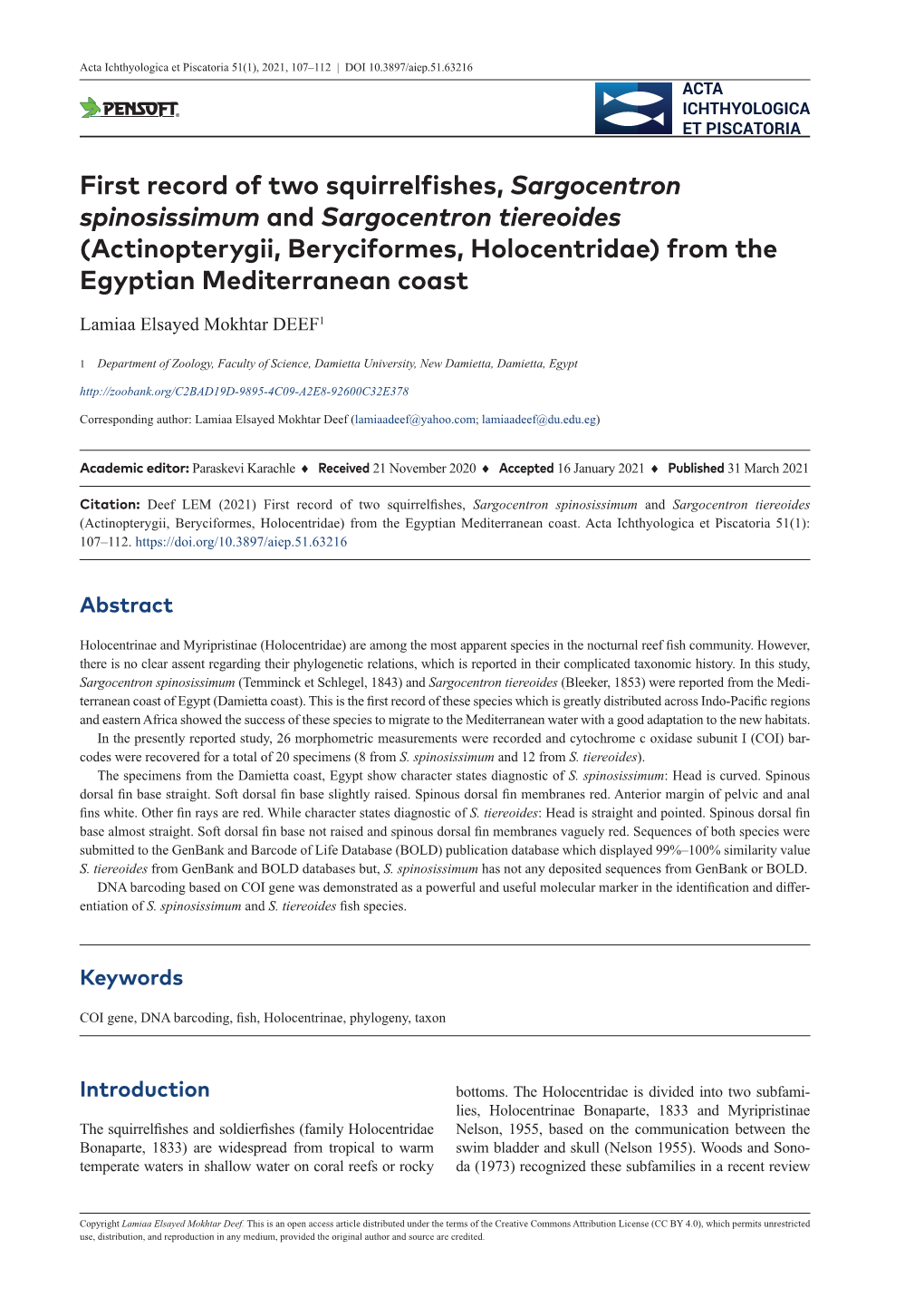 Actinopterygii, Beryciformes, Holocentridae) from the Egyptian Mediterranean Coast