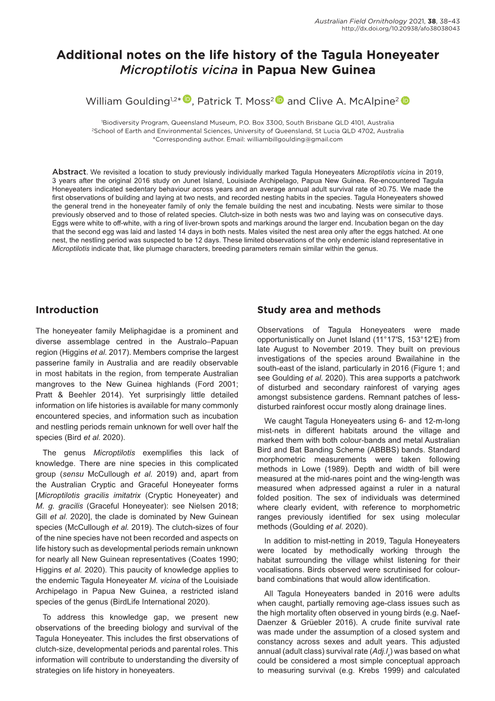 Additional Notes on the Life History of the Tagula Honeyeater Microptilotis Vicina in Papua New Guinea