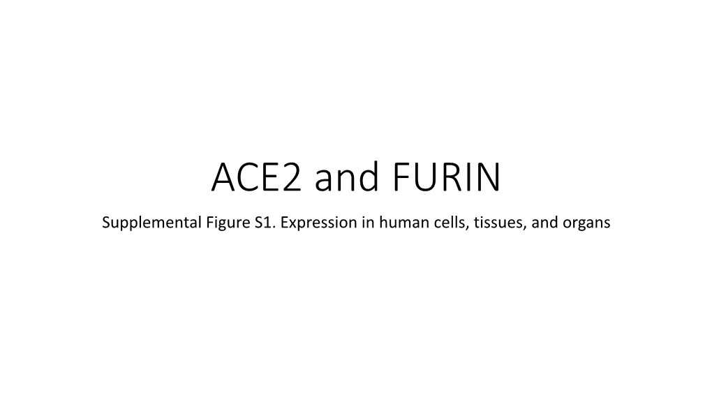 ACE2 and FURIN Supplemental Figure S1