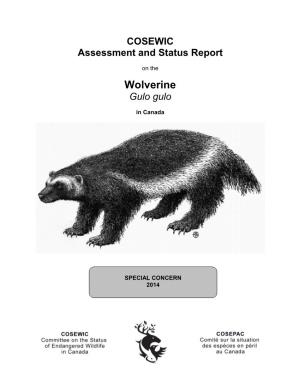COSEWIC Assessment and Status Report on the Wolverine (2014)