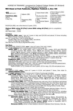 HORSE in TRAINING, Consigned by Cadland Cottage Stables (R