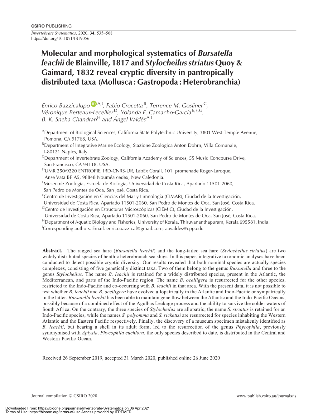 Molecular and Morphological Systematics of Bursatella