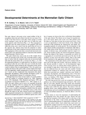 Developmental Determinants at the Mammalian Optic Chiasm