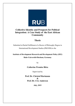 Collective Identity and Prospects for Political Integration : a Case Study