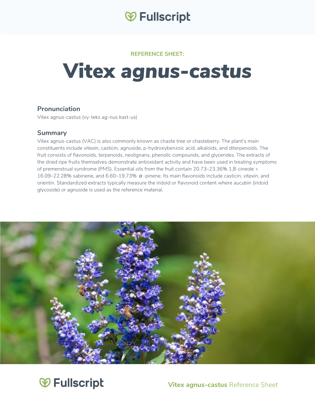 Vitex ​Agnus-Castus