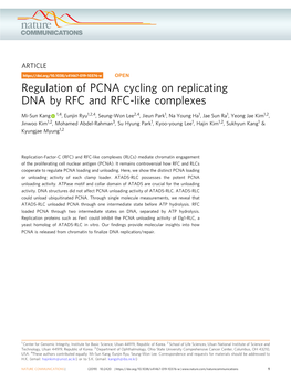 Regulation of PCNA Cycling on Replicating DNA by RFC and RFC-Like Complexes