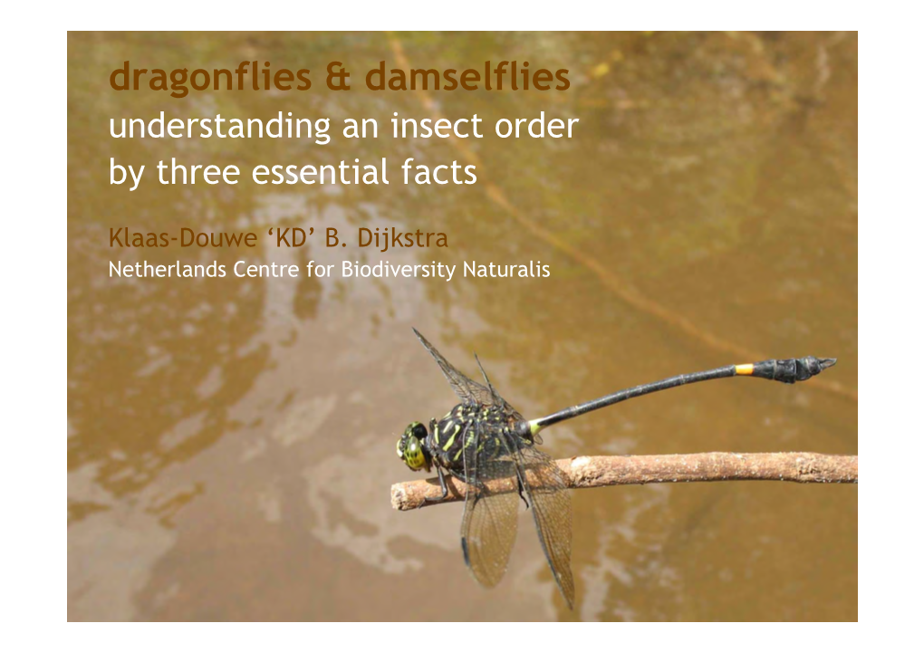 Dragonflies & Damselflies