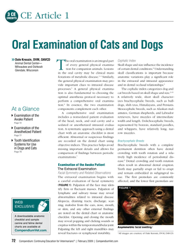 Oral Examination of Cats and Dogs