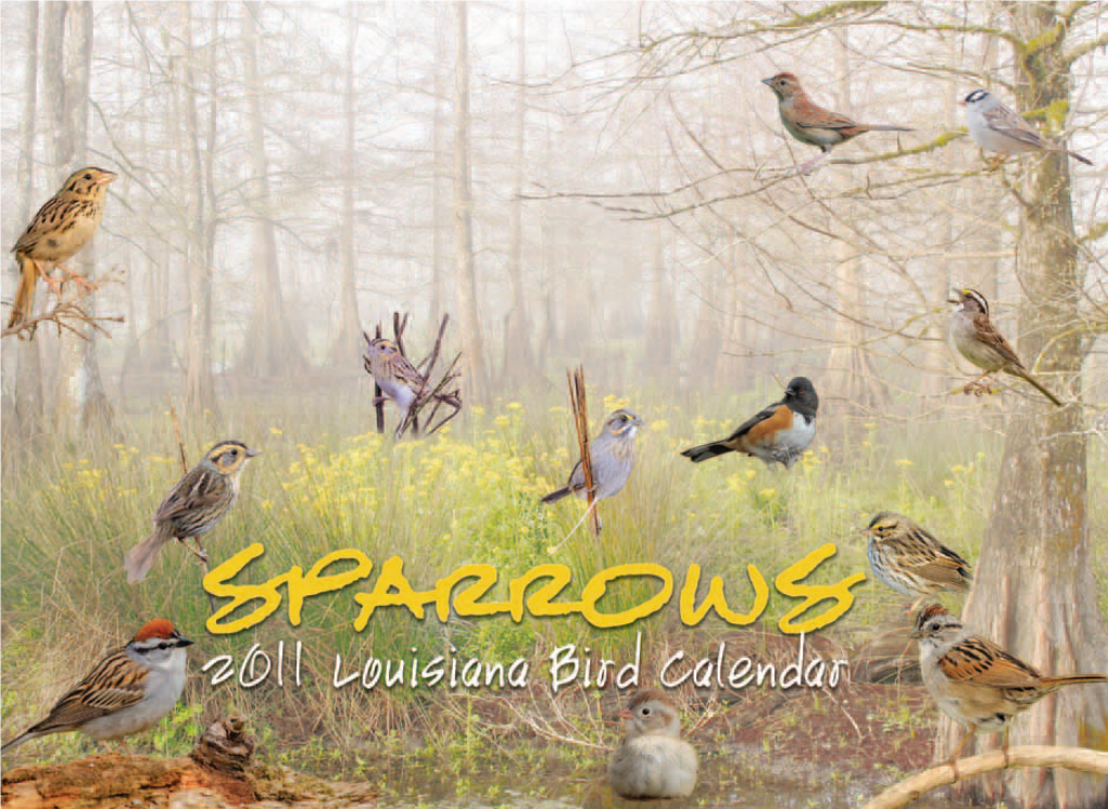 2011 Birding Calendar.Pdf