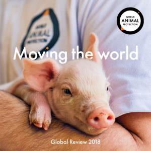 World Animal Protection Global Review 2018 1 Foreword Foreword