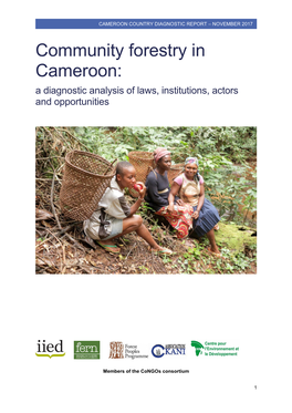 Community Forestry in Cameroon: a Diagnostic Analysis of Laws, Institutions, Actors and Opportunities