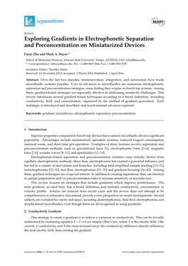 Exploring Gradients in Electrophoretic Separation and Preconcentration on Miniaturized Devices