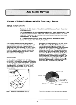 Waders of Dibru&Hyphen;Saikhowa Wildlife Sanctuary, Assam