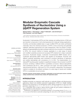 Modular Enzymatic Cascade Synthesis of Nucleotides Using a (D)ATP Regeneration System