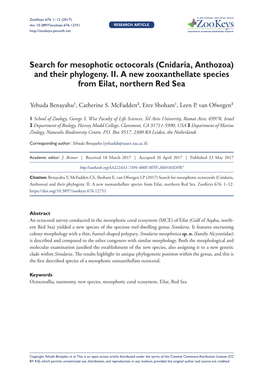 Search for Mesophotic Octocorals (Cnidaria, Anthozoa) and Their Phylogeny
